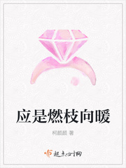 应是燃枝向暖