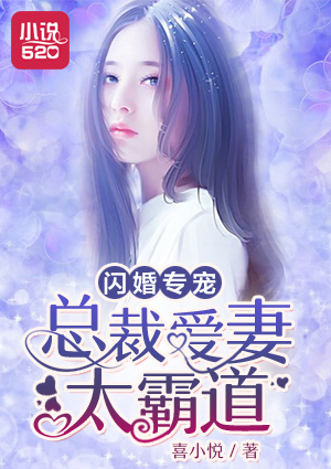 闪婚专宠：总裁爱妻太霸道